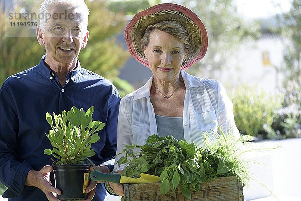 Porträt eines glücklichen älteren Paares mit einer Kiste mit Blattgemüse