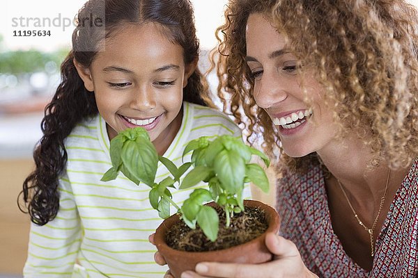 Glückliche Mutter und Tochter mit Basilikumpflanze