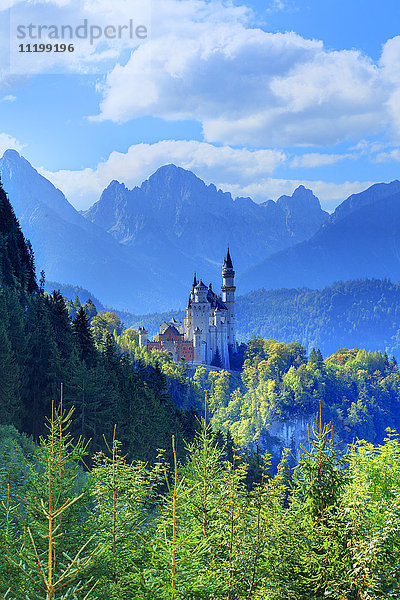 Schloss Neuschwanstein  Bayern  Deutschland  Europa