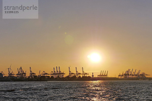 Containerterminal Burchardkai  Hamburger Hafen  Hamburg  Deutschland  Europa