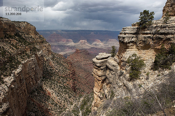 Blick auf den Grand Canyon  Arizona  USA