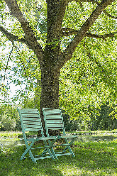 Stühle unter einem Baum am Wasserrand angeordnet