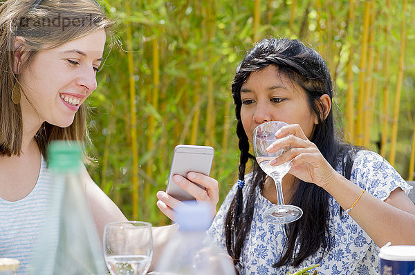Frauen entspannen sich gemeinsam im Freien  schauen auf das Smartphone