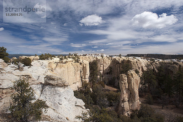 Sandsteinfelsen am El Morro National Monument  New Mexico  USA