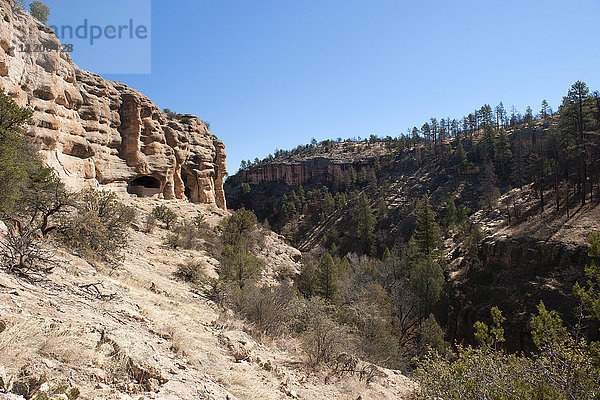 Gila Cliff Dwellings National Monument  Gila Wilderness  New Mexico  USA