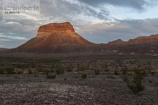 Wüstenlandschaft mit Butte  Big Bend National Park  Texas  USA