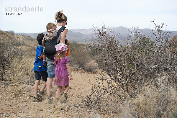 Mutter und Kinder beim Wandern in der Wüste  Big Bend National Park  Texas  USA