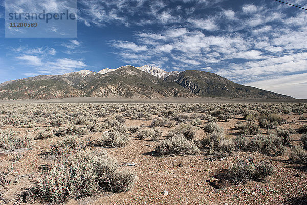Wüste und Berge in Nevada  USA