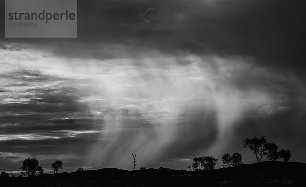 Szenische Ansicht von Sturmwolken über Feld  Newman  Westaustralien  Australien