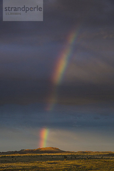 Blick auf den Regenbogen über das Grasfeld  Newman  Westaustralien  Australien