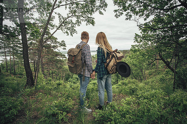 Rückansicht des Paares  das beim Wandern im Wald Händchen hält