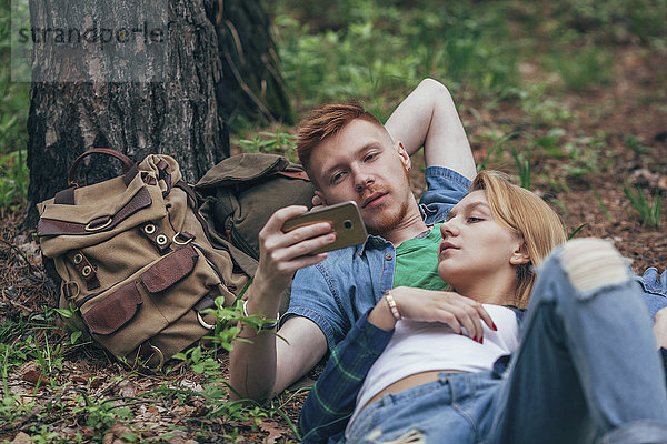 Junges Paar schaut im Smartphone  während es am Baum im Wald liegt.