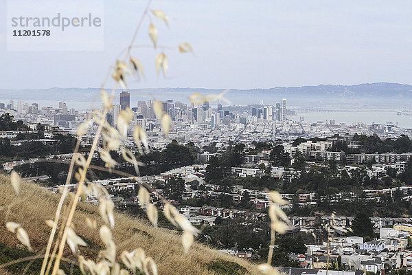 Hochwinkelansicht des Stadtbildes bei bedecktem Himmel  San Francisco  Kalifornien  USA