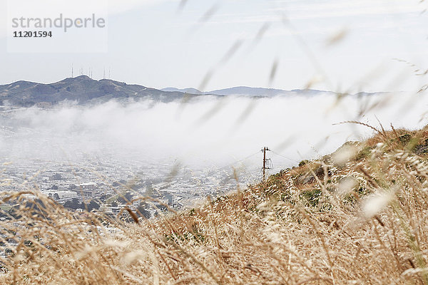 Landschaftsbild bei Nebelwetter  San Francisco  Kalifornien  USA