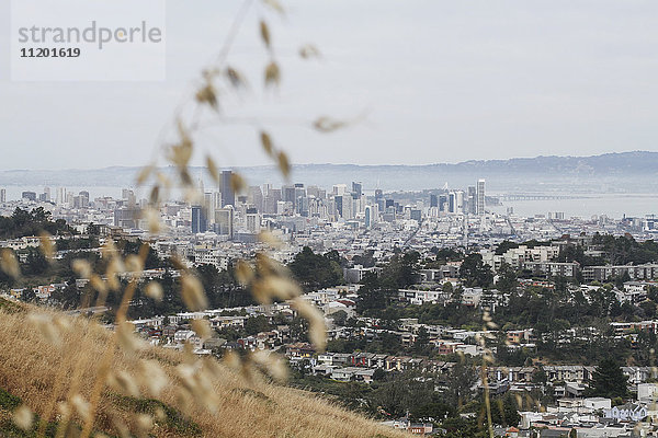 Blick auf das Stadtbild bei klarem Himmel  San Francisco  Kalifornien  USA