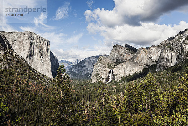 Blick auf Bäume  die gegen felsige Berge wachsen  Yosemite Nationalpark  Kalifornien  USA