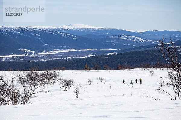 Winterlandschaft mit Menschen auf Skiern im Hintergrund