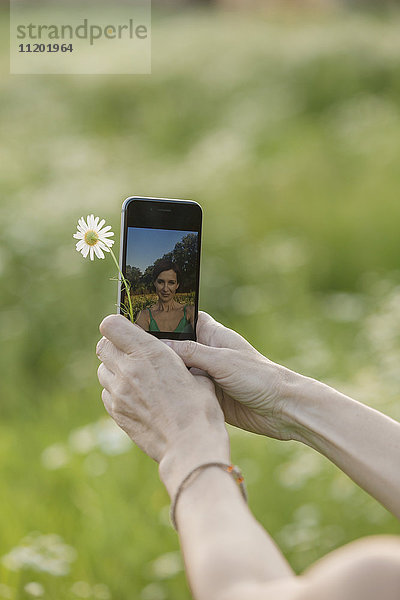 Abgeschnittenes Bild der Hände mit Blume und Smartphone mit Spiegelung ihrer selbst darauf