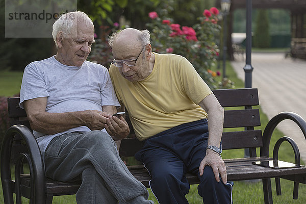 Senioren-Mann  der seinem Freund das Handy zeigt  während er auf der Parkbank sitzt.