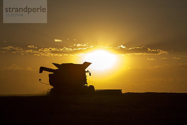 Mähdrescher schneidet Weizen in Nordost-Colorado; Paoli  Colorado  Vereinigte Staaten von Amerika'.