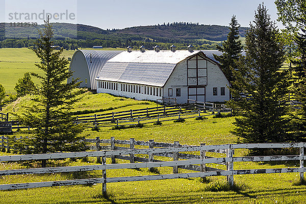Große weiße Scheune mit weißem Holzzaun auf einem sanften Weidefeld mit bewaldeten Hügeln im Hintergrund  nördlich von Millarville; Alberta  Kanada