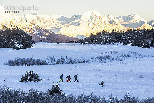 Skifahrer  die gemeinsam auf den Tincan Mountain am Turnagain Pass fahren  Kenai-Halbinsel  Süd-Zentral-Alaska  USA