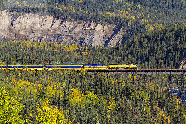 Ein Personenzug der Alaska Railroad nähert sich einer Brücke über einen Fluss im Denali National Park & Preserve im Herbst  im Inneren Alaskas  USA