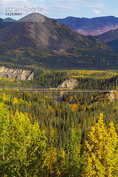 Ein Personenzug der Alaska Railroad überquert im Herbst einen Bahndamm im Denali National Park & Preserve im Inneren Alaskas  USA