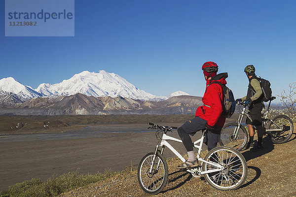 Zwei Radfahrer halten auf der Parkstraße an  um den Denali im Sommer zu besichtigen  Denali National Park & Preserve  Inner-Alaska  USA