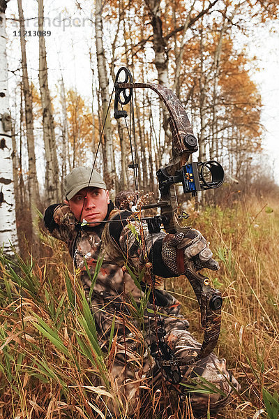 Bowhunter Zeichnung Bogen in Aspen Bäume