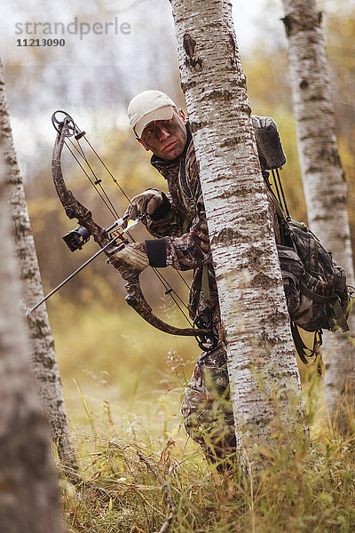 Bogenjäger in Espenbäumen