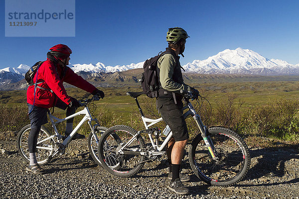 Zwei Radfahrer halten auf der Parkstraße an  um den Denali im Sommer zu besichtigen  Denali National Park & Preserve  Inner-Alaska  USA