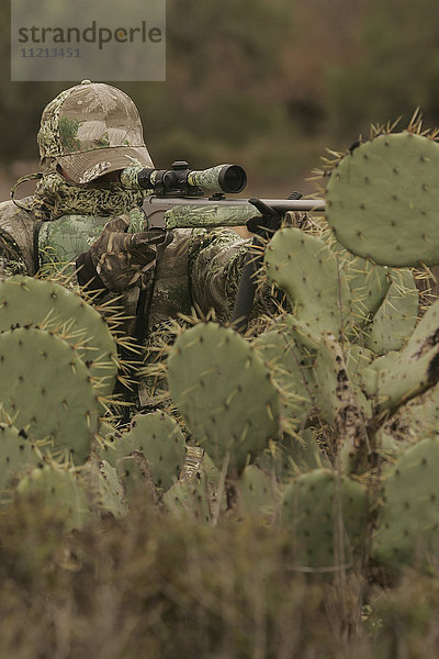 Whitetail Deer Jäger in Kaktus