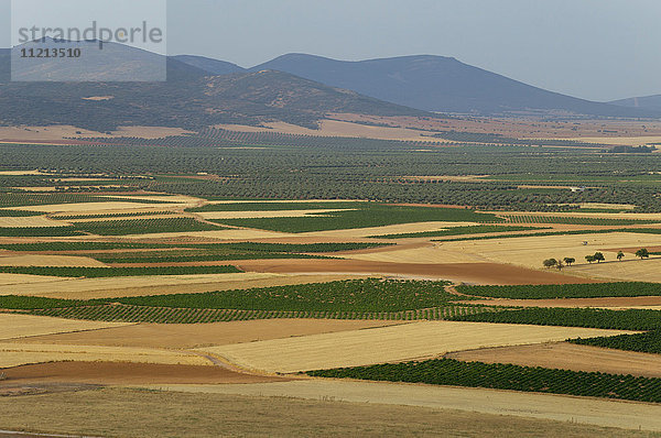 Landschaft mit Feldern und Bergen in der Ferne; La Mancha  Spanien'.