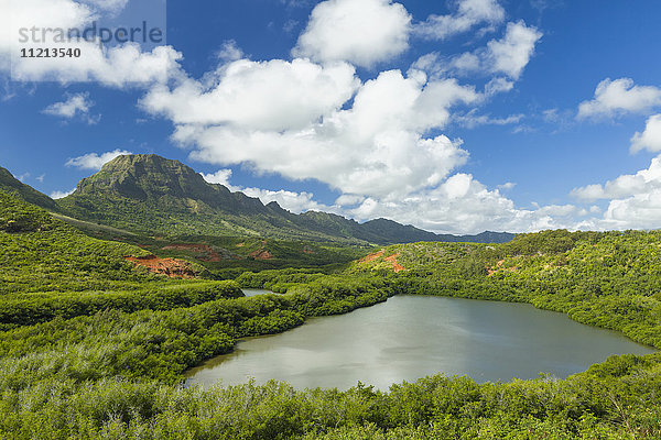 Alekoko oder Menehune-Fischteich in der Nähe von Lihue  1000 Jahre alt  am Ufer des Hule'ia-Flusses; Kauai  Hawaii  Vereinigte Staaten von Amerika'.