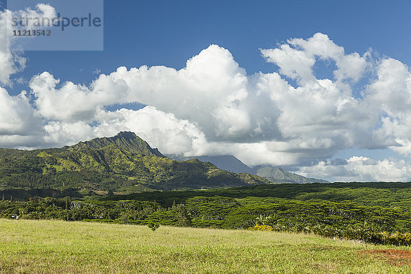 Blick auf den Kapalaoa Peak bei Kalaheo; Kauai  Hawaii  Vereinigte Staaten von Amerika'.