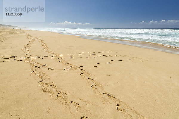 Fußabdrücke im Sand  Barking Sands (Polihale Beach) auf West Kauai; Kauai  Hawaii  Vereinigte Staaten von Amerika'.