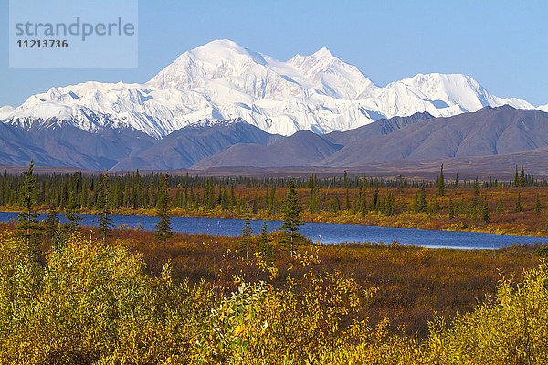 Blick auf den Denali vom Parks Hwy. südlich von Cantwell  Alaska. September. Inneres Alaska.