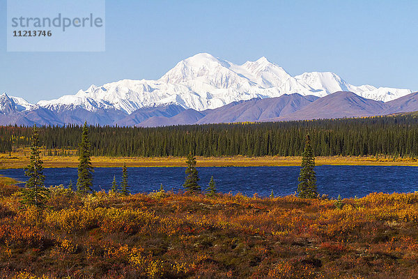 Blick auf den Denali vom Parks Hwy. südlich von Cantwell  Alaska. September. Inneres Alaska.