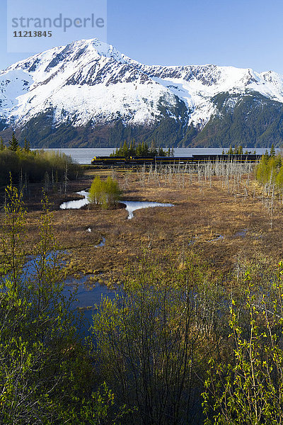 Blick auf die schneebedeckten Berge in der Nähe von Bird Point  als der Personenzug der Alaska Railroad vorbeifährt  Süd-Zentral-Alaska  USA