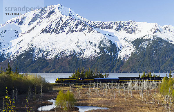 Blick auf die schneebedeckten Berge in der Nähe von Bird Point  als der Personenzug der Alaska Railroad vorbeifährt  Süd-Zentral-Alaska  USA