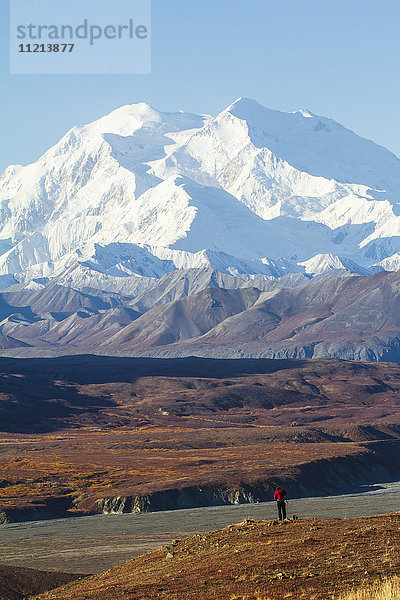 Eine Person betrachtet Denali und die Herbstfarben vom Eielson Visitor Center aus. Denali National Park & Schutzgebiet. Inneres Alaska.