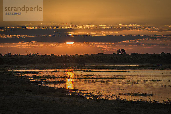 Sonnenuntergang über bewaldetem Flussufer; Botswana'.