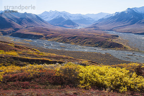 Bunte Tundra-Landschaft  Denali National Park & Preserve. Inneres Alaska. Herbst.