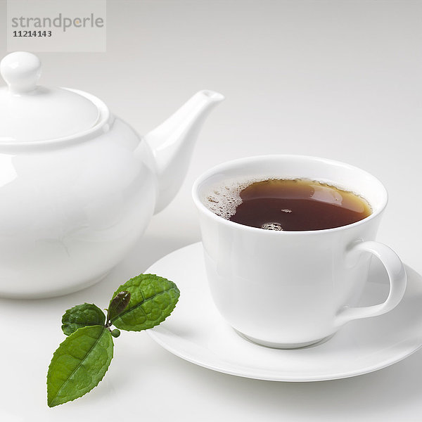 Teetasse und Teekanne mit Minzblättern auf einem weißen Hintergrund