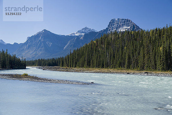 Athabasca River entlang des Icefields Highway im Banff National Park; Alberta  Kanada'.