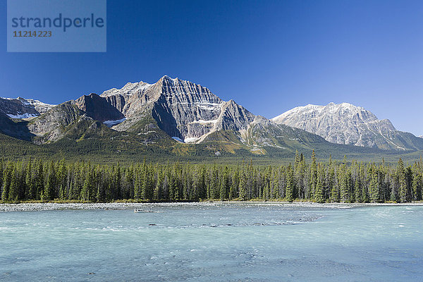 Athabasca River entlang des Icefields Highway im Banff National Park; Alberta  Kanada'.