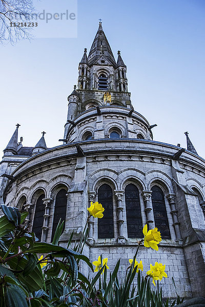 Kathedrale von Saint Fin Barre; Cork City  Irland
