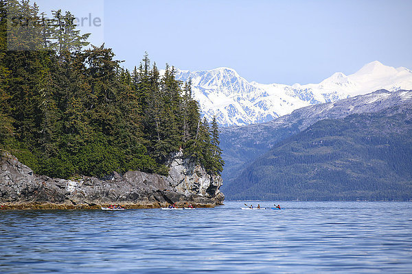 Eine Gruppe von Seekajakfahrern auf den ruhigen Gewässern der Main Bay  Prince William Sound  Whittier  Southcentral Alaska  USA  Sommer