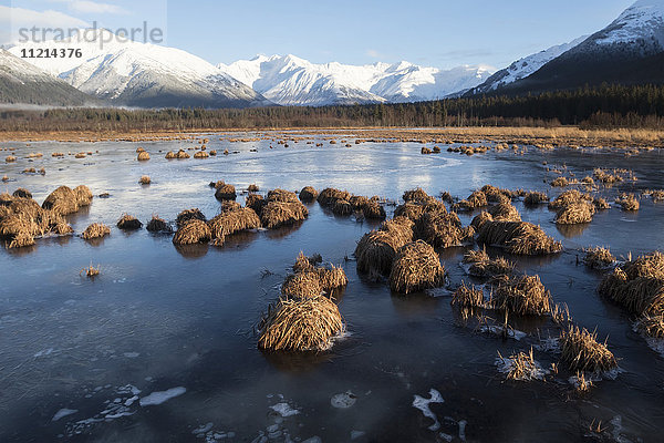 Frühwinterlicher Blick auf gefrorenes Sumpfland in der Nähe von Girdwood  Southcentral Alaska